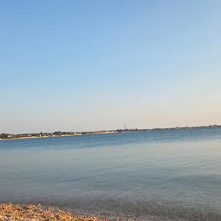 Gimi Shine * Vrsi