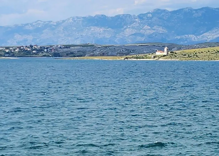 Gimi Shine Vrsi