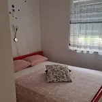 Gimi Shine Vrsi