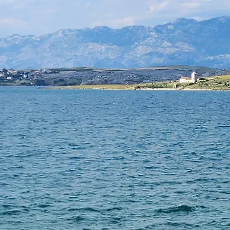 Gimi Shine Vrsi