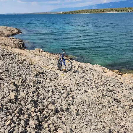 Apartman Gimi Shine *